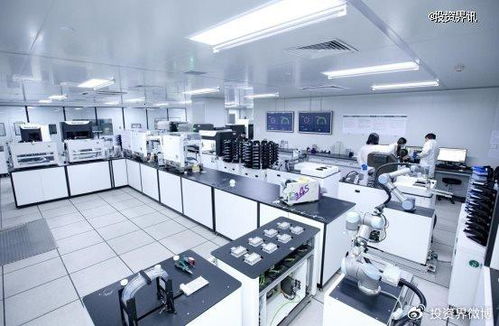 博瑞迪完成2.5億元B輪融資，專注生物育種技術服務，引領農業科技新浪潮